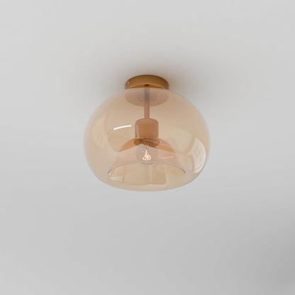 Industrial Glass Ceiling Light Smoked Dome Shade LED Side