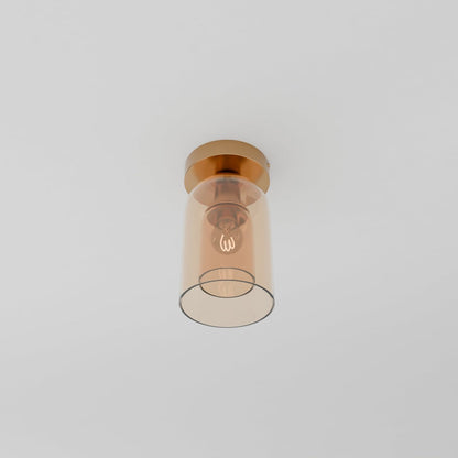 Industrial Glass Ceiling Light Smoked Dome Shade LED View 27