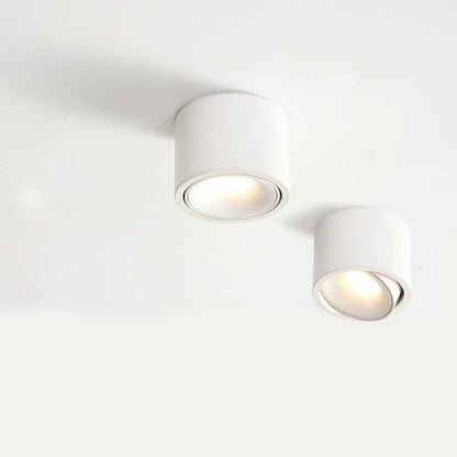 Minimalist Aluminum Adjustable LED Spotlight Flush Mount Ceiling Light Front