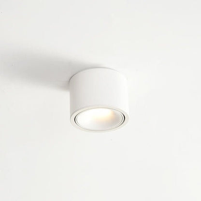 Minimalist Aluminum Adjustable LED Spotlight Flush Mount Ceiling Light View 21