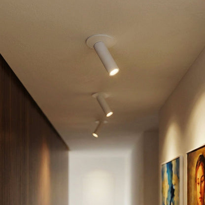 Minimalist Aluminum Ceiling Light Adjustable Tube LED Alternate
