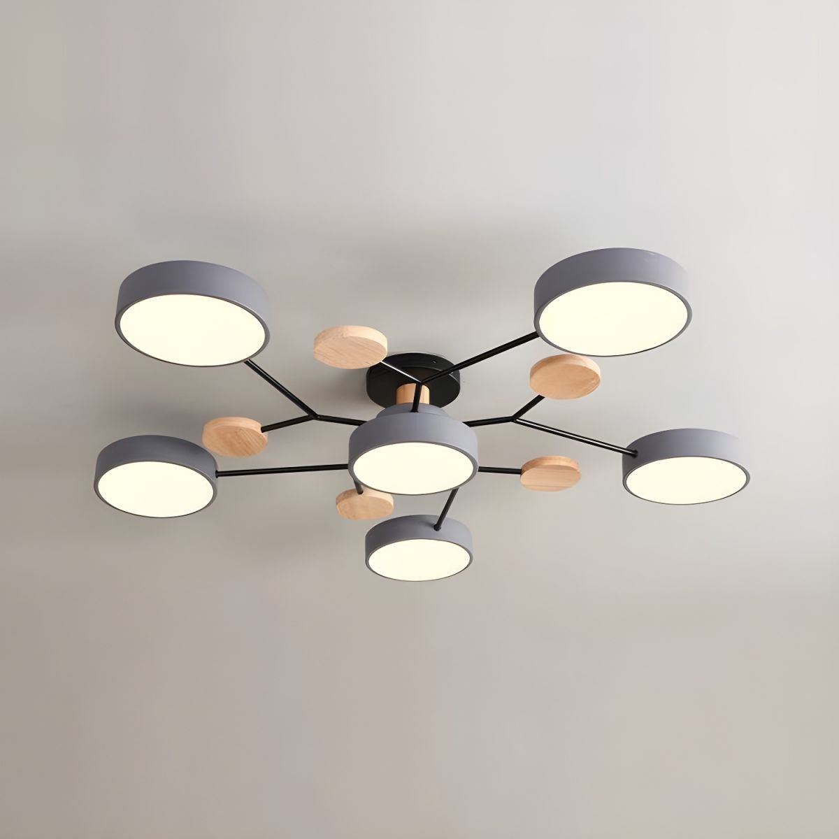 Modern Circular Living Room LED Ceiling Light View 20