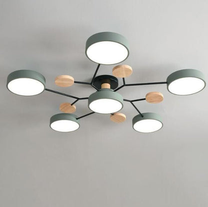 Modern Iron Ceiling Light Branching Round Shades View 14