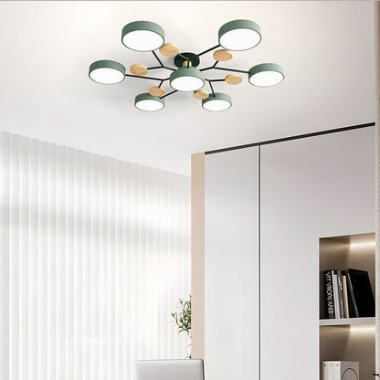 Modern Iron Ceiling Light Branching Round Shades View 16