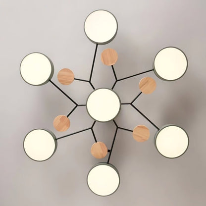 Modern Iron Ceiling Light Branching Round Shades View 19
