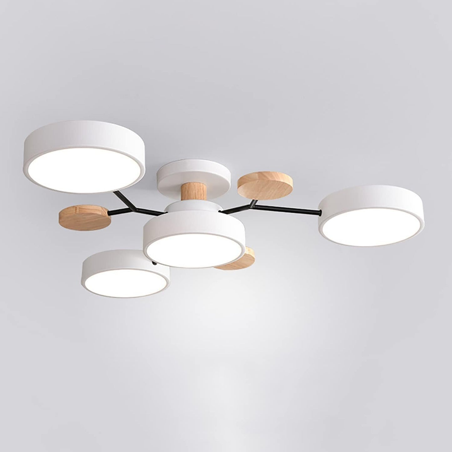 Modern Iron Ceiling Light Branching Round Shades View 22