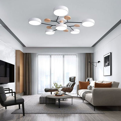 Modern Iron Ceiling Light Branching Round Shades View 26