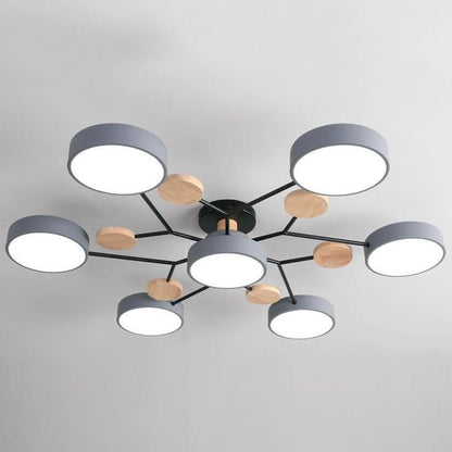 Modern Iron Ceiling Light Branching Round Shades View 37