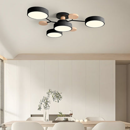 Modern Iron Ceiling Light Branching Round Shades View 42