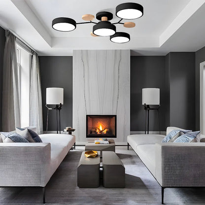 Modern Iron Ceiling Light Branching Round Shades View 44