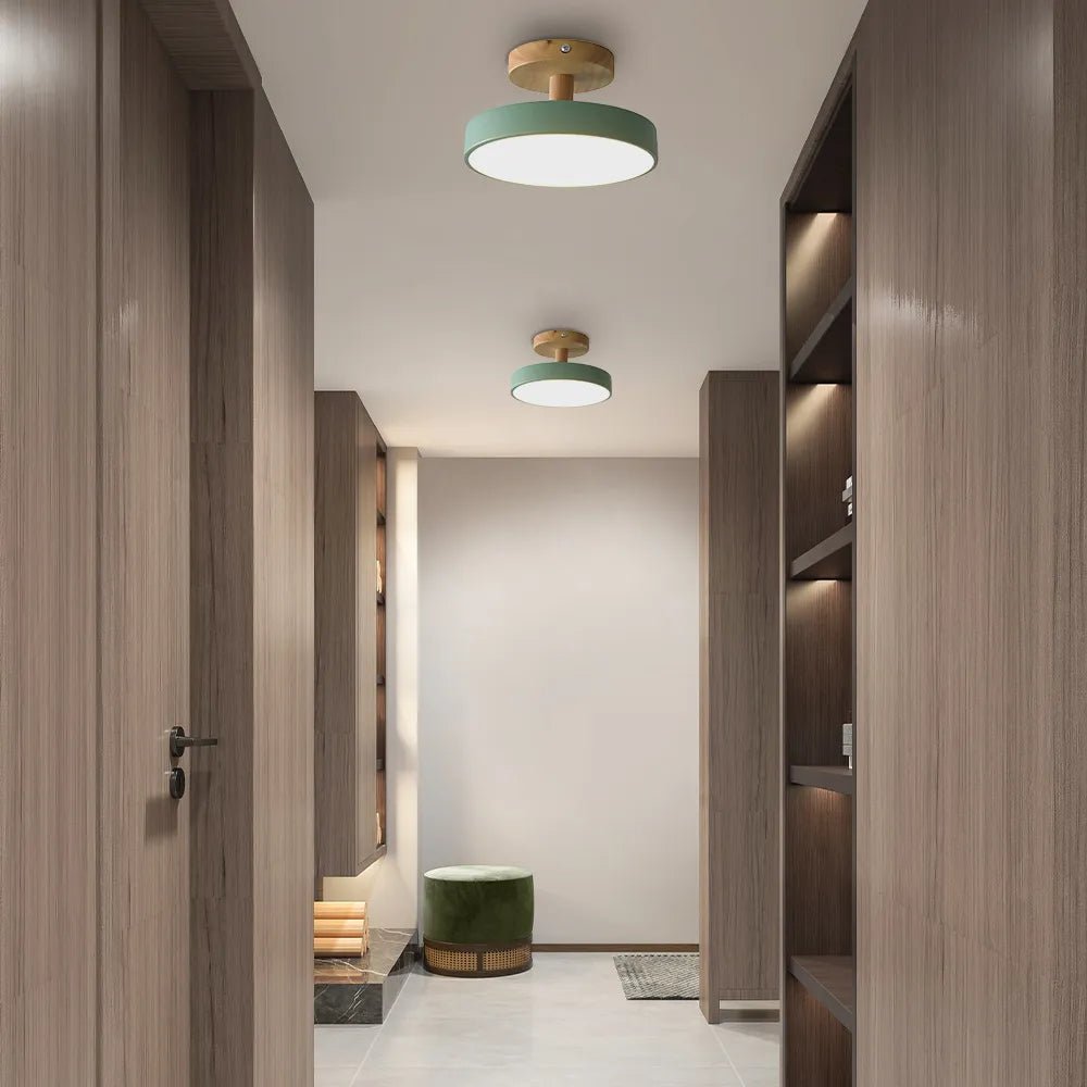 Modern Iron Ceiling Light Round Drum Shade Back