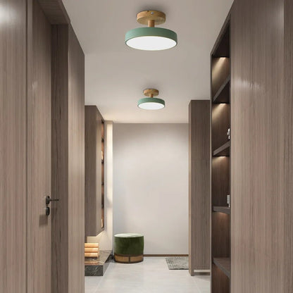 Modern Iron Ceiling Light Round Drum Shade Back
