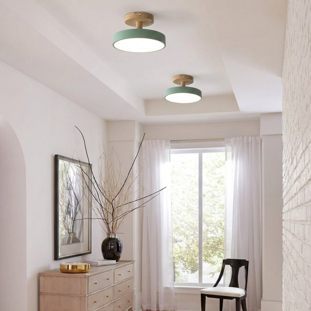 Modern Iron Ceiling Light Round Drum Shade Detail