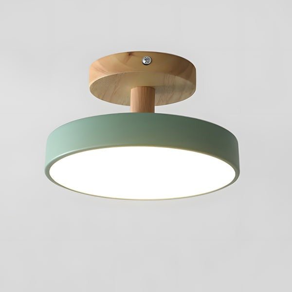 Modern Iron Ceiling Light Round Drum Shade Hero