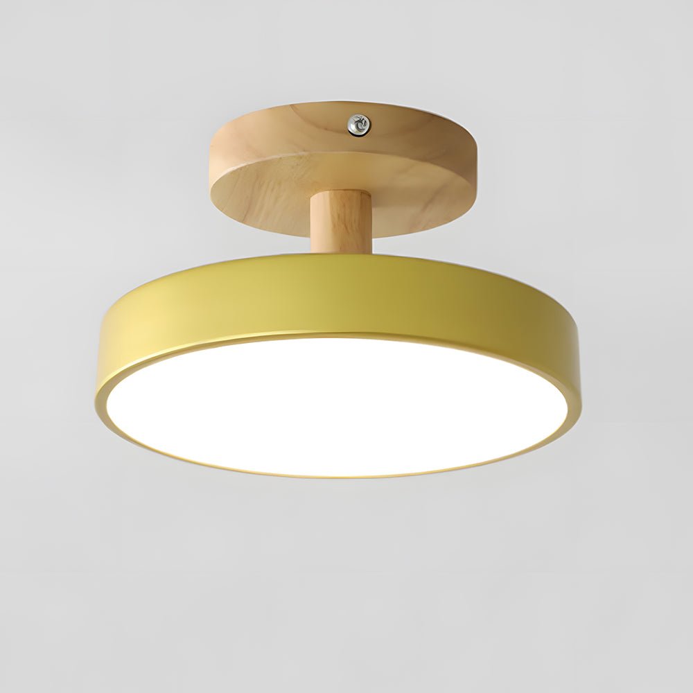 Modern Iron Ceiling Light Round Drum Shade View 22