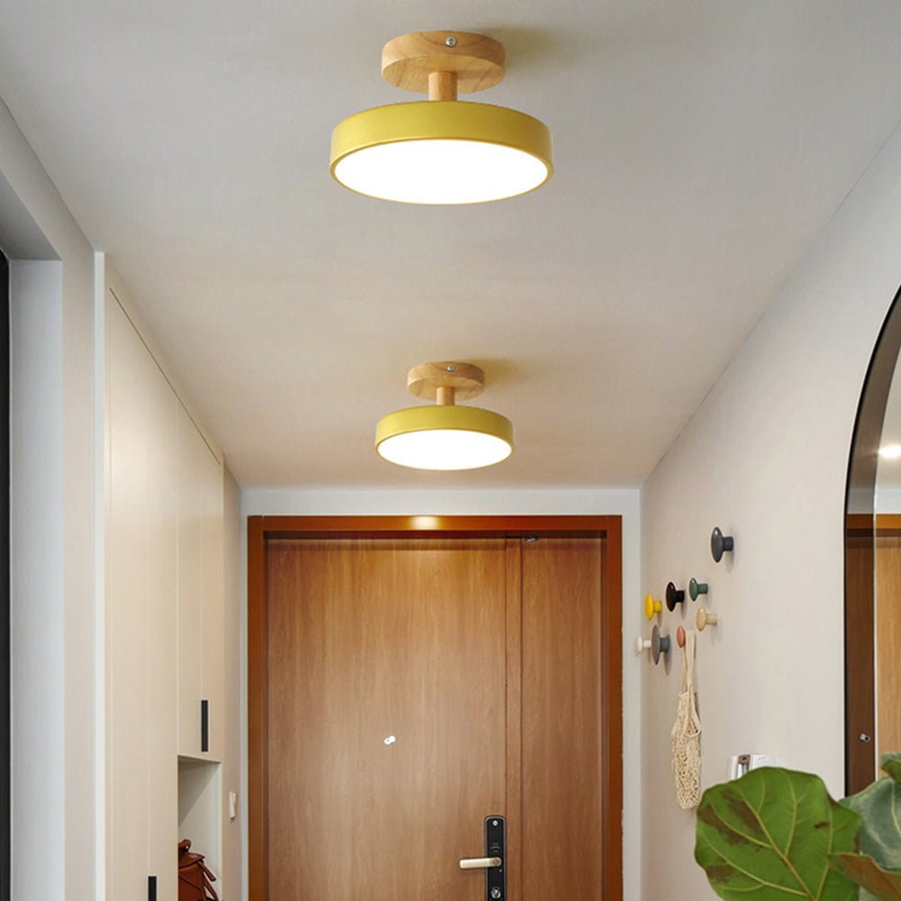 Modern Iron Ceiling Light Round Drum Shade View 23