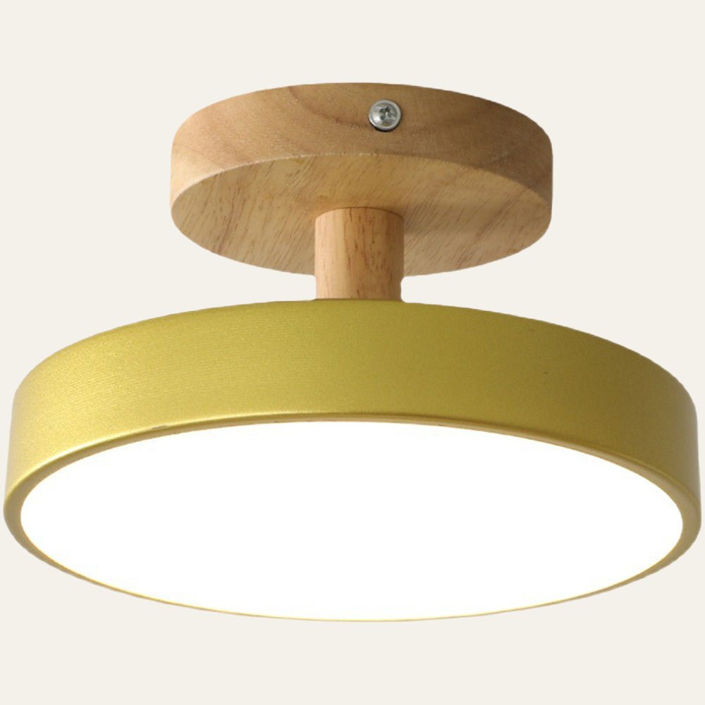 Modern Iron Ceiling Light Round Drum Shade View 25