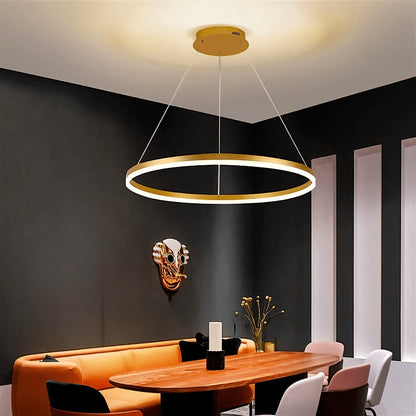 Modern Iron Chandelier Concentric Rings LED View 33