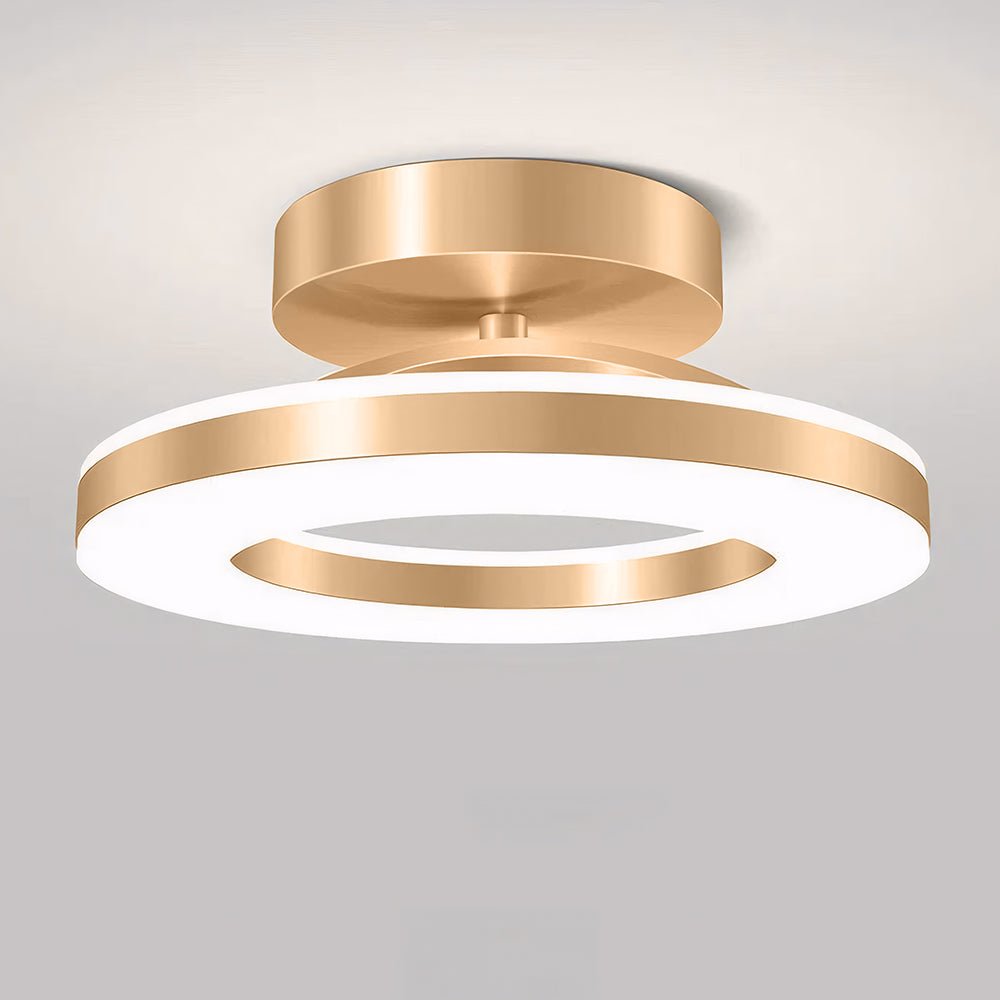 Modern Iron Hallway LED Ceiling Light View 12