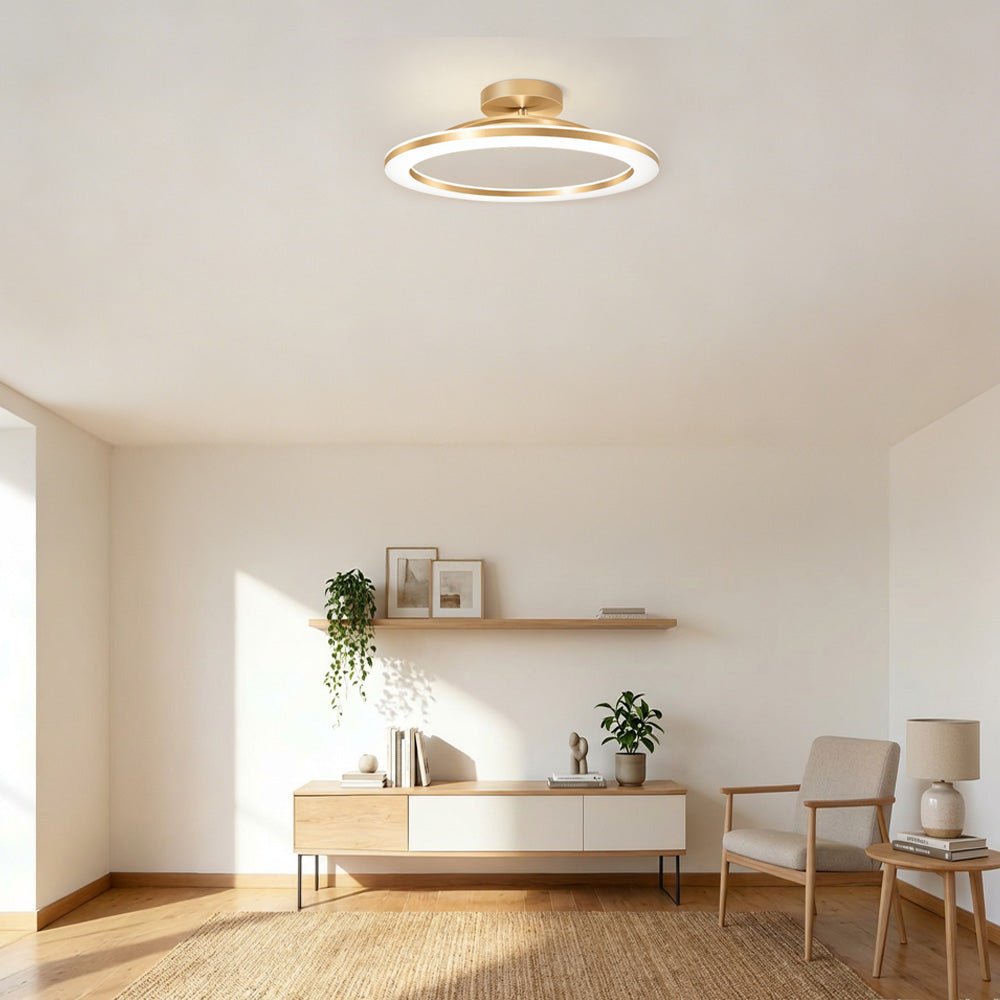 Modern Iron Hallway LED Ceiling Light View 13