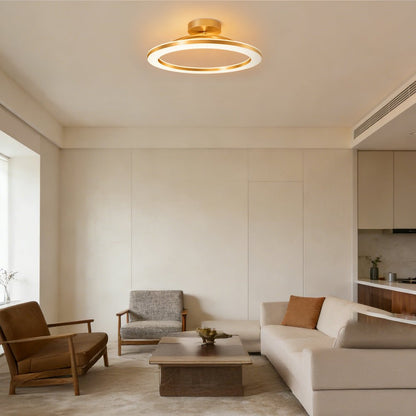 Modern Iron Hallway LED Ceiling Light View 14