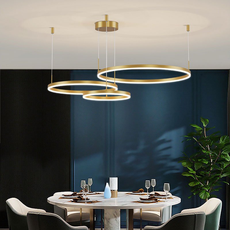 Modern Metal Pendant Light Concentric Rings View 23