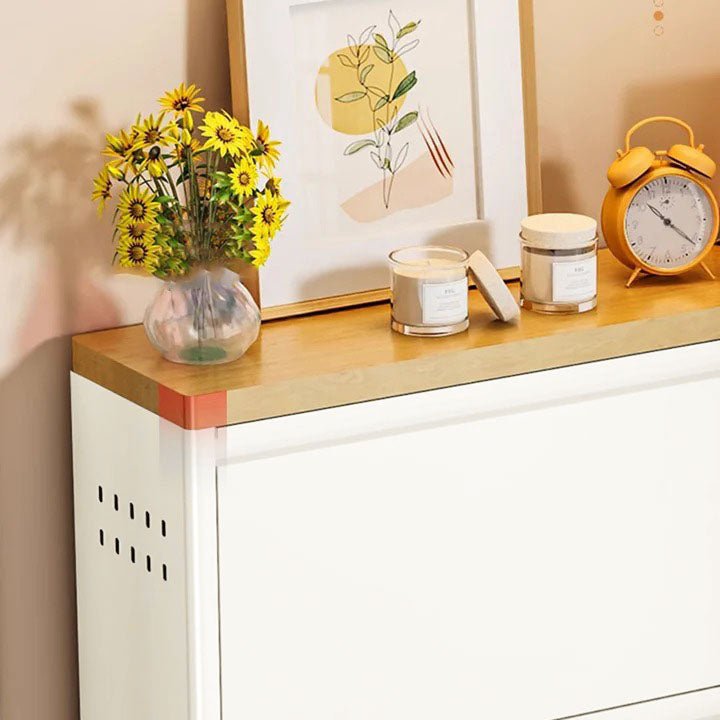 Modern Minimalist Steel Slim Shoe Storage Flip Drawers View 15