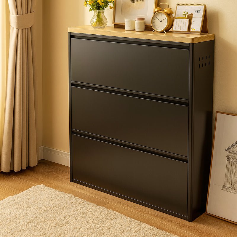 Modern Minimalist Steel Slim Shoe Storage Flip Drawers View 17