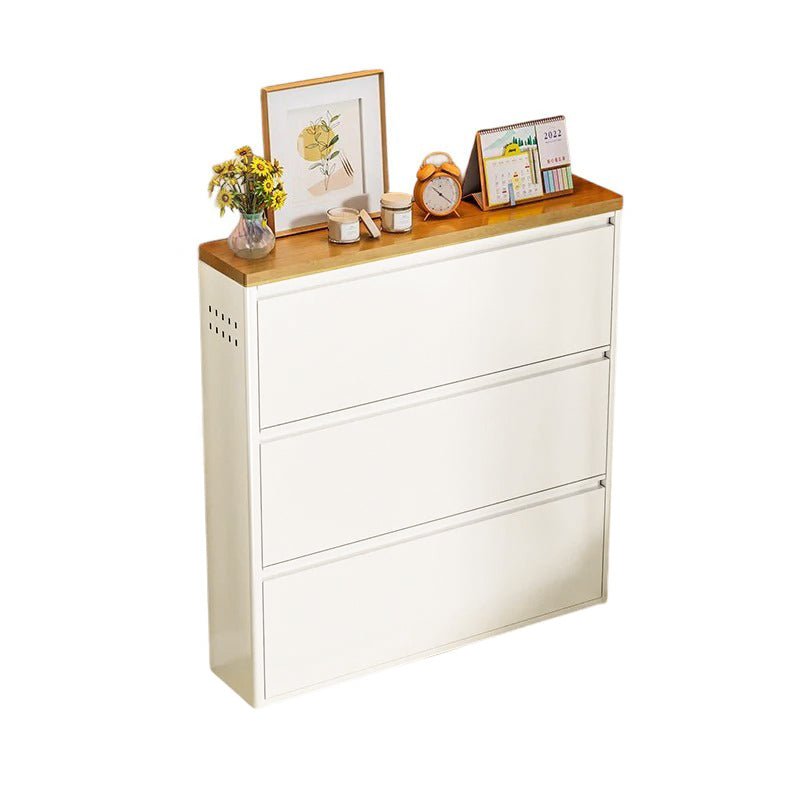 Modern Minimalist Steel Slim Shoe Storage Flip Drawers View 31