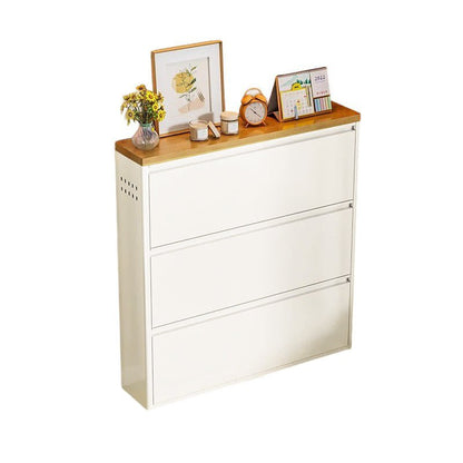 Modern Minimalist Steel Slim Shoe Storage Flip Drawers View 31