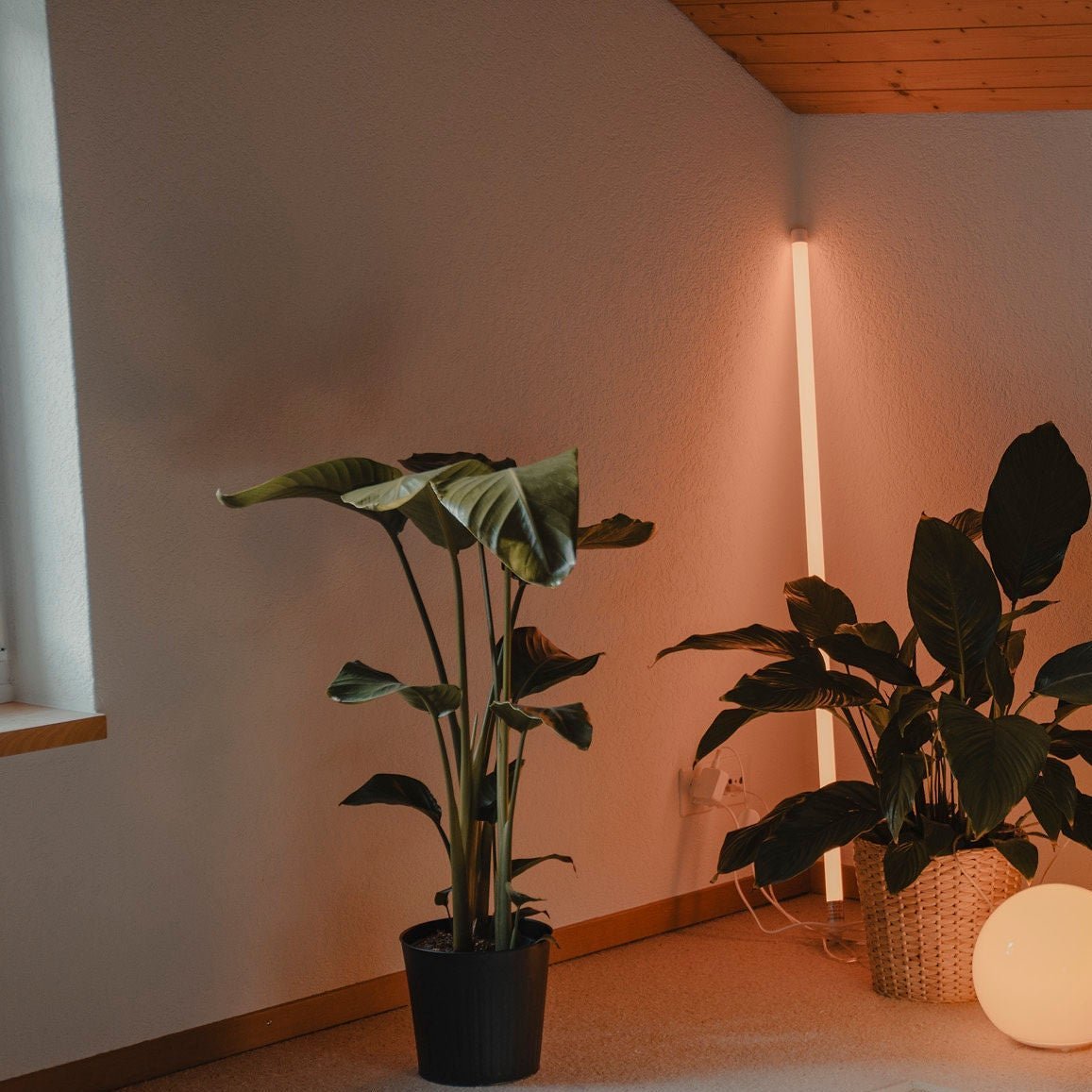 Neon Tube Floor Lamp Hero