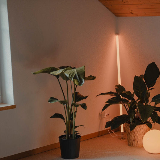 Neon Tube Floor Lamp Hero