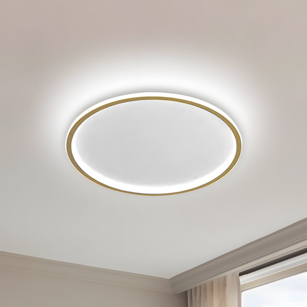 Nordic Style Disc LED Ceiling Lighting View 27