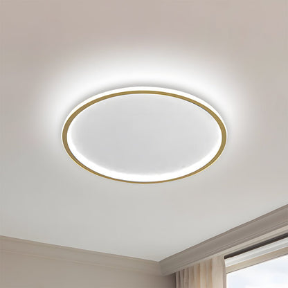 Nordic Style Disc LED Ceiling Lighting View 27