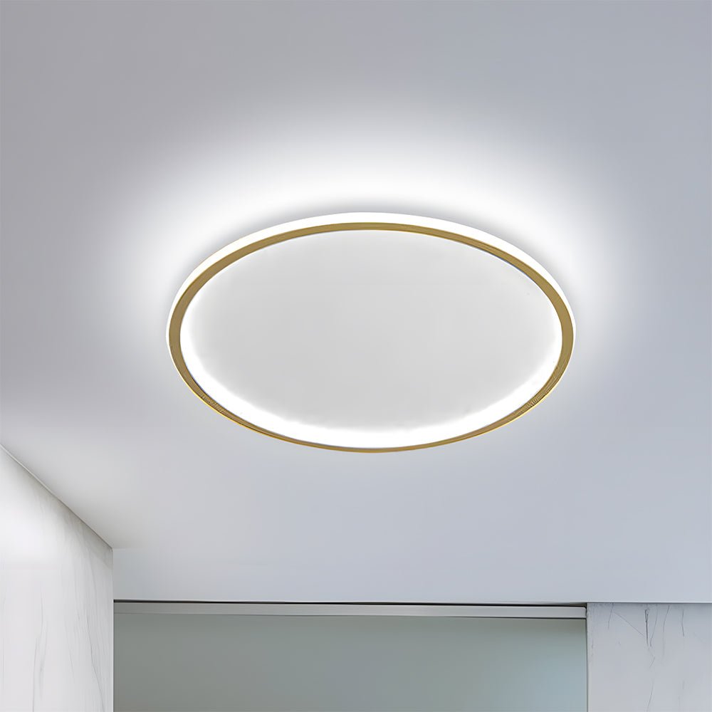 Nordic Style Disc LED Ceiling Lighting View 28