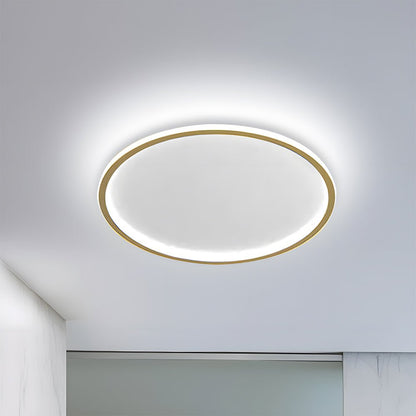 Nordic Style Disc LED Ceiling Lighting View 28