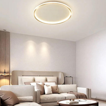 Nordic Style Disc LED Ceiling Lighting View 31