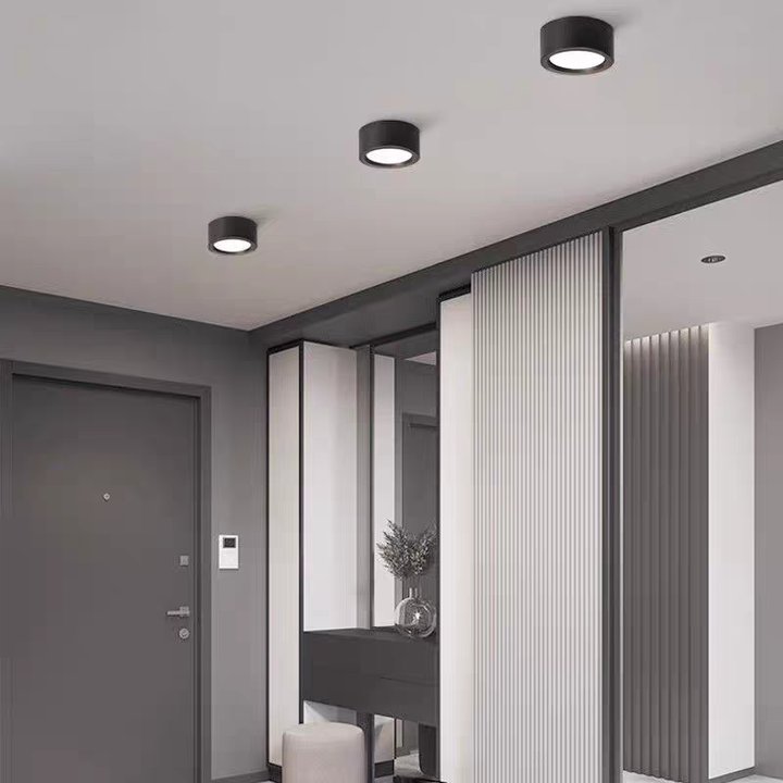 Nordic Style Indoor Surface Flush Ceiling Lights Alternate
