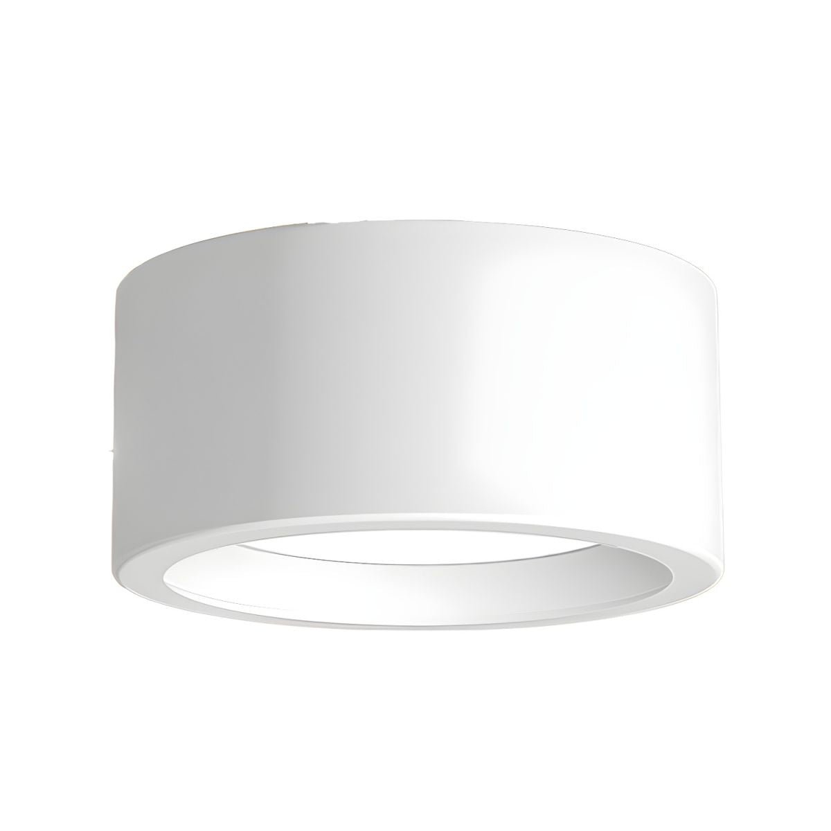 Nordic Style Indoor Surface Flush Ceiling Lights Close Up