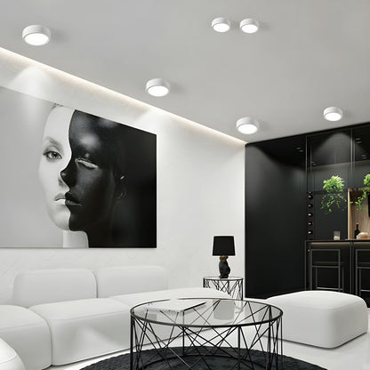 Nordic Style Indoor Surface Flush Ceiling Lights Detail