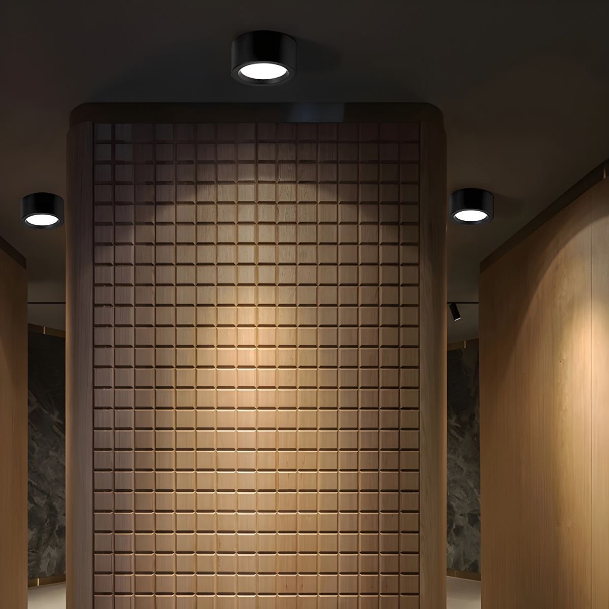 Nordic Style Indoor Surface Flush Ceiling Lights View 11