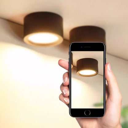Nordic Style Indoor Surface Flush Ceiling Lights View 12