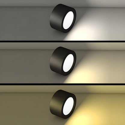 Nordic Style Indoor Surface Flush Ceiling Lights View 13