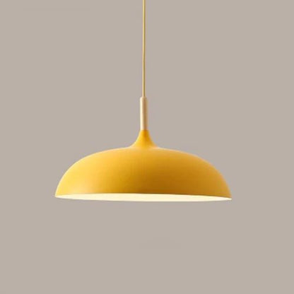 Ceiling Pendant Light | Adjustable Height Focused Downlighting