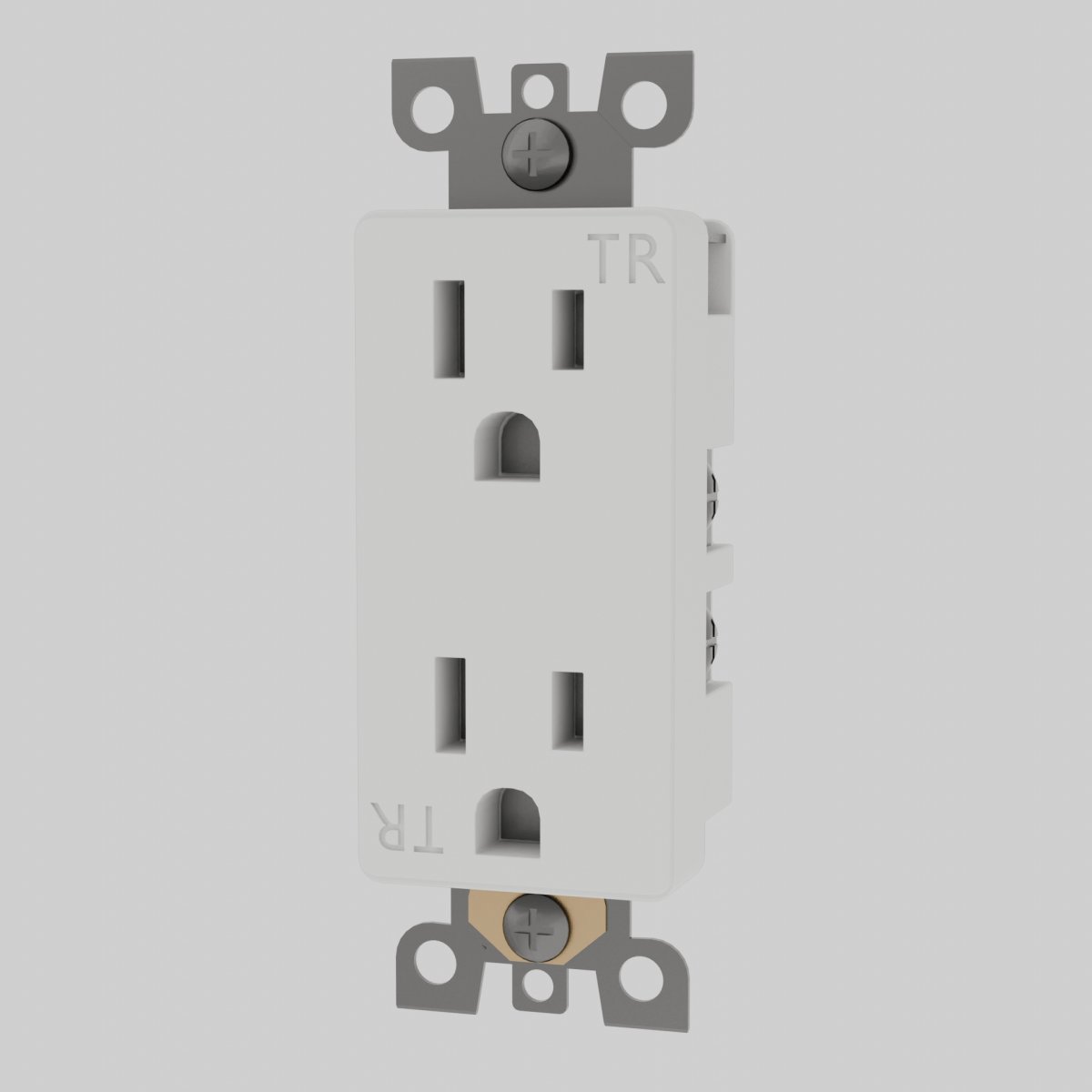 Standard Outlet Custom Module Duplex TR White Detail