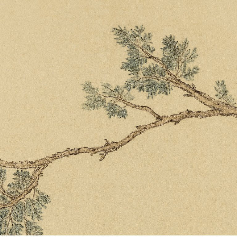 Traditional French Wood Room Divider Floral Bird Panel Close Up