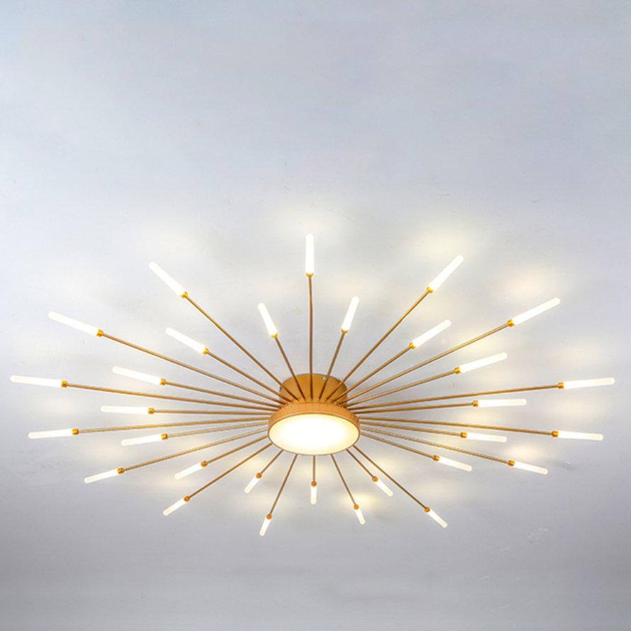 Wesley Modern Home Decoration Fireworks LED Ceiling Light Back