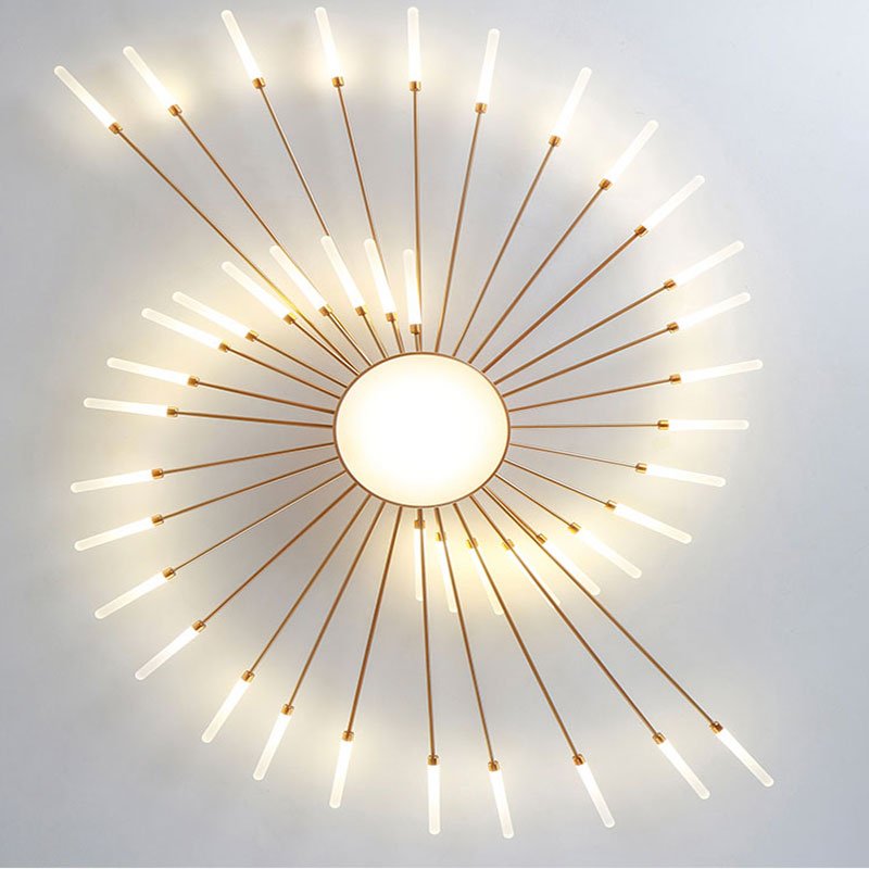 Wesley Modern Home Decoration Fireworks LED Ceiling Light View 19