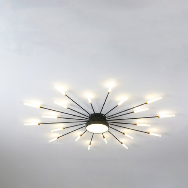 Wesley Modern Home Decoration Fireworks LED Ceiling Light View 21